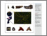 [thumbnail of Open Access]
