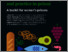 [thumbnail of FoodWomenPrisons_Toolkit_v5 Final March 25.pdf]