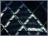 [thumbnail of Conference paper]