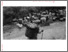 [thumbnail of Rehel_et_al__2010_NTFPs_and_pollination_(2).pdf]
