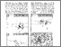 [thumbnail of j.1477-8696.2001.tb06540.x.pdf]