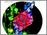 [thumbnail of Open Access]