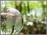 [thumbnail of Henley_Business_School_UN_PRME_2017 (002).pdf]