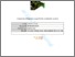 [thumbnail of 2018_Harkness and Areal_Consumer willingnes sto pay for low acrylamide content.pdf]