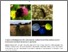 [thumbnail of 13755_WC1101Finalreport.pdf]
