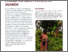 [thumbnail of Open Access]