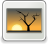 [thumbnail of Fossils01.jpeg]